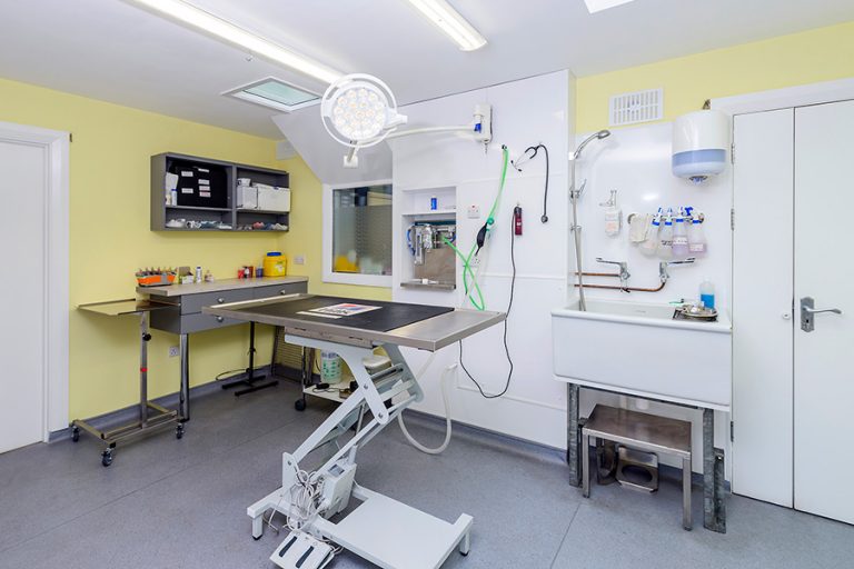 Ark Veterinary Hospital Killarney Ark Vet Kerry Small animal vets Kerry