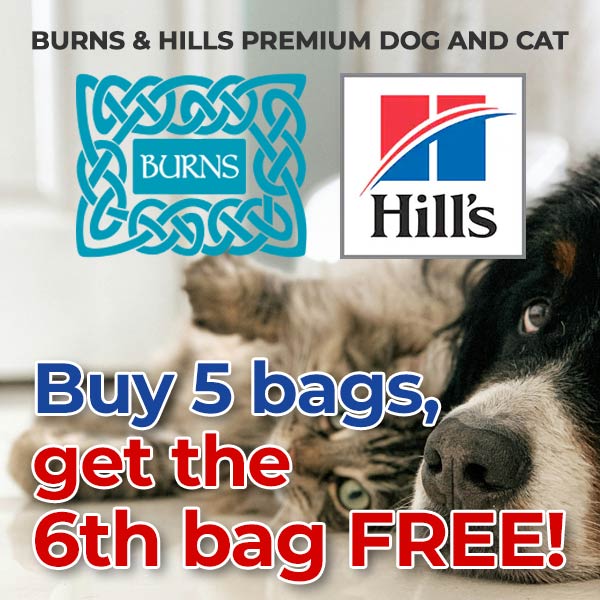 Burns and Hills Premium Discount