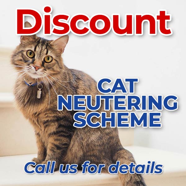 Discount Cat Neutering Scheme